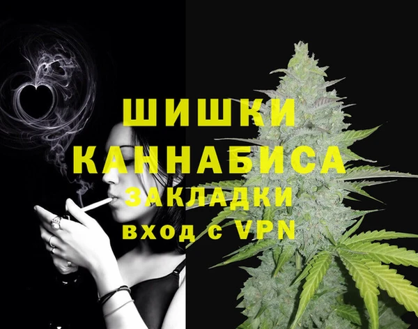 индика Белоозёрский