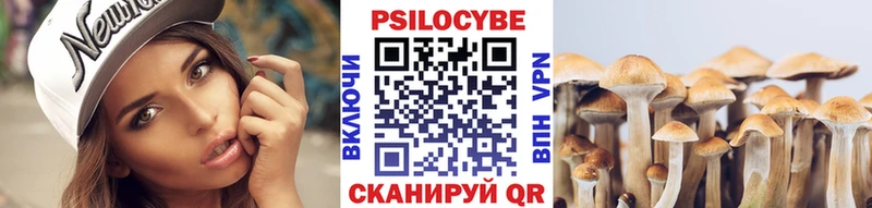 Галлюциногенные грибы Psilocybe  сколько стоит  Буй 